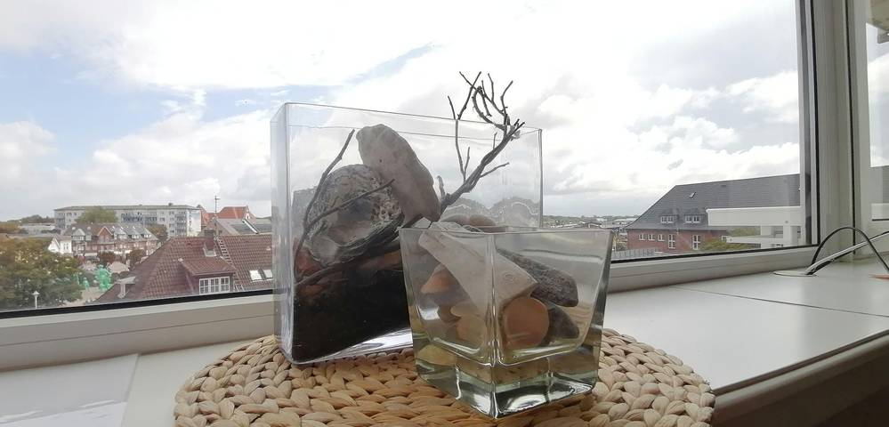 Ganzes Studio, App. Wilhelmine, Haus CoOp in Westerland, Sylt (Gemeinde)