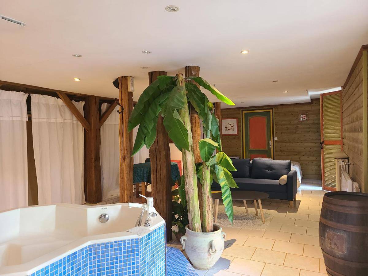 Appartement entier, Mon Jacuzzi privé sur les pas de Compostelle in Saint-Léonard-de-Noblat, Région de Limoges