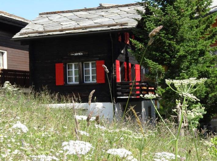 Holiday apartment for 5 people, with terrace - 1