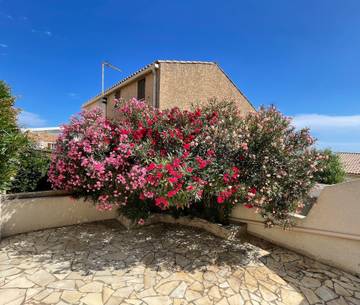 Maison De Vacances pour 6 Personnes dans Fleury, Région de Narbonne, Photo 1