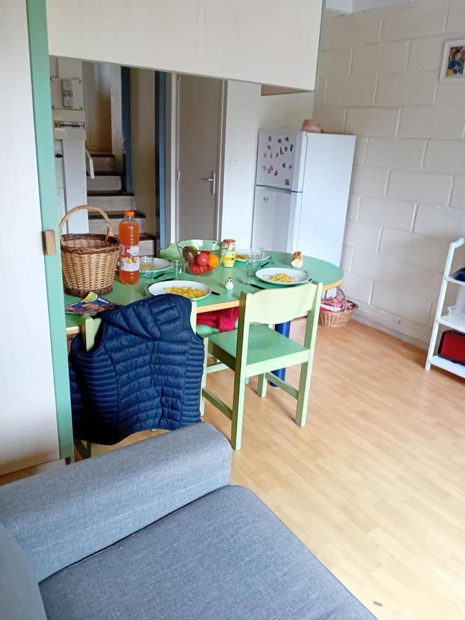 Location de vacances pour 2 personnes, avec vue et jardin ainsi que piscine et bassin pour enfant, animaux acceptés à Vorey - 4