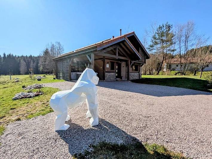 Chalet pour 10 personnes, avec jardin et jacuzzi ainsi que sauna et terrasse, animaux acceptés dans les Vosges