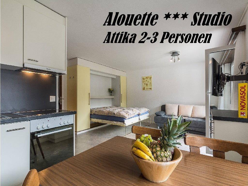 Entire holiday apartment, Appartement à 3 lits in Saas-Fee, Wallisian Alps