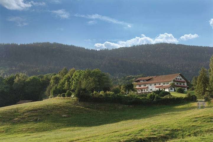 Pension für 3 Personen, mit Balkon/Terrasse und Terrasse sowie Garten in Bernried