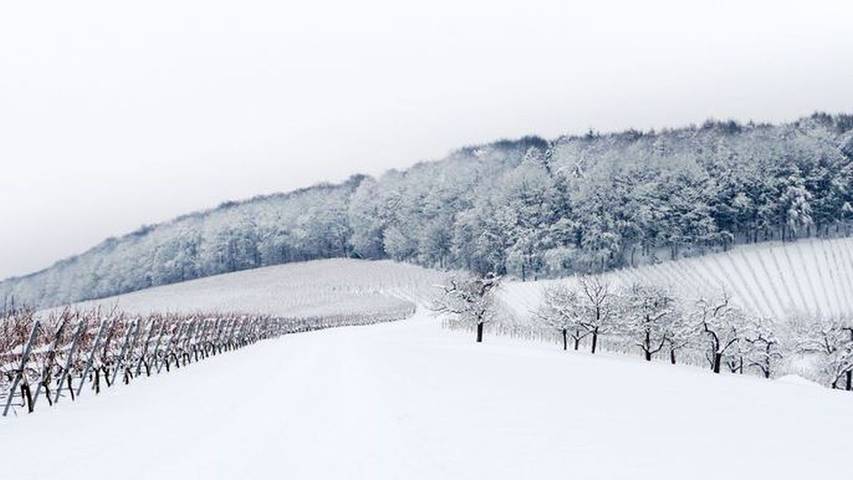 Ferienwohnung für 3 Personen, mit Balkon, kinderfreundlich in Bretzfeld