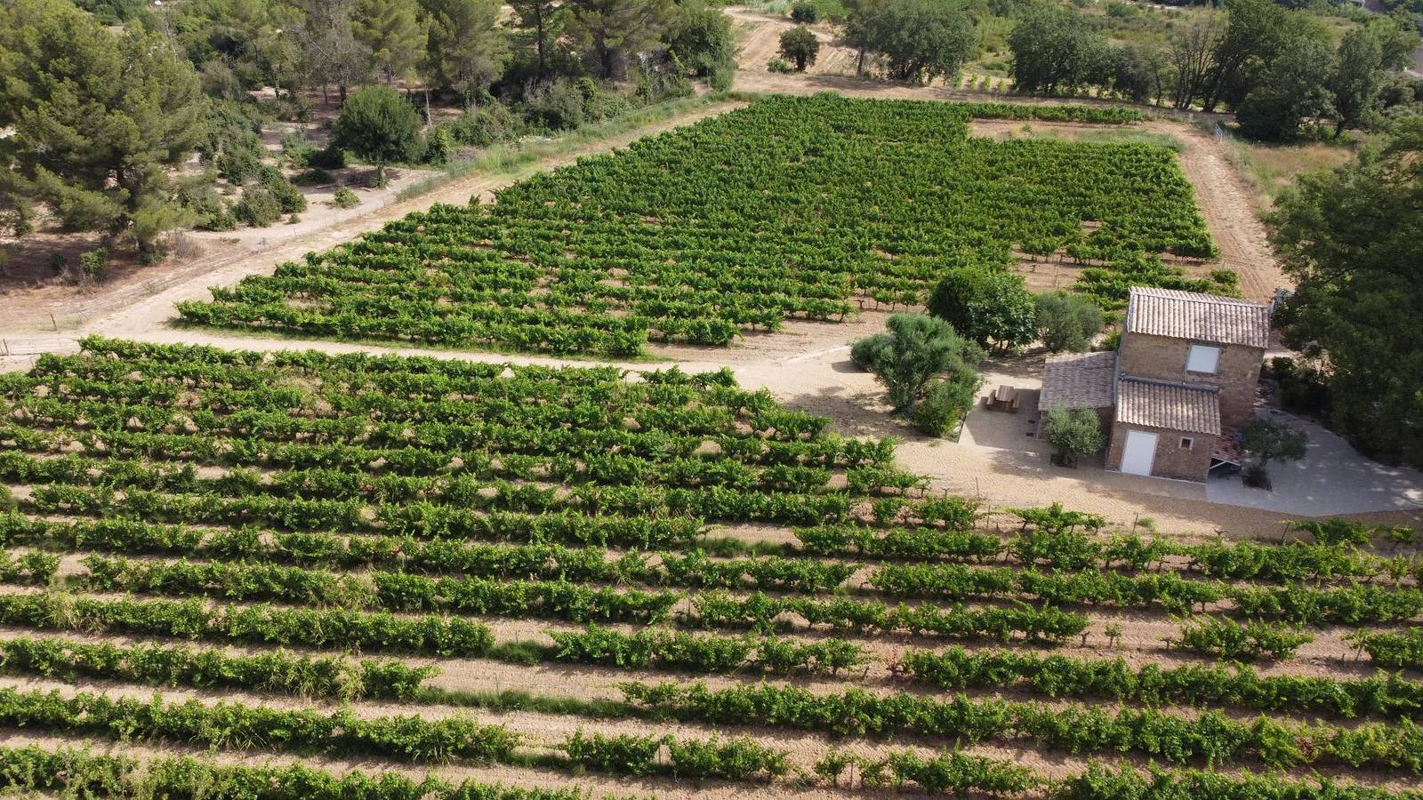 Le Cabanon du Capelan in La Motte, Région de Draguignan
