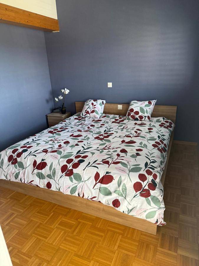 Gîte pour 4 personnes, avec vue sur le lac ainsi que vue et terrasse à Port-Valais - 2