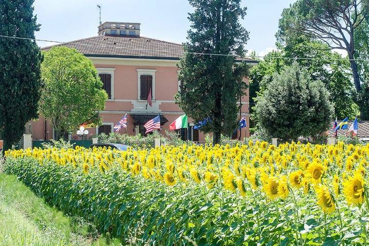 Appartamento, con Terrazza e Giardino nonché Piscina a Cascina