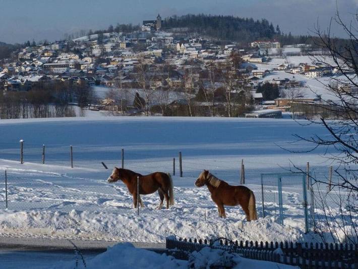 Ferienwohnung für 4 Personen, mit Garten und Terrasse, mit Haustier in Kirchberg im Wald - 4