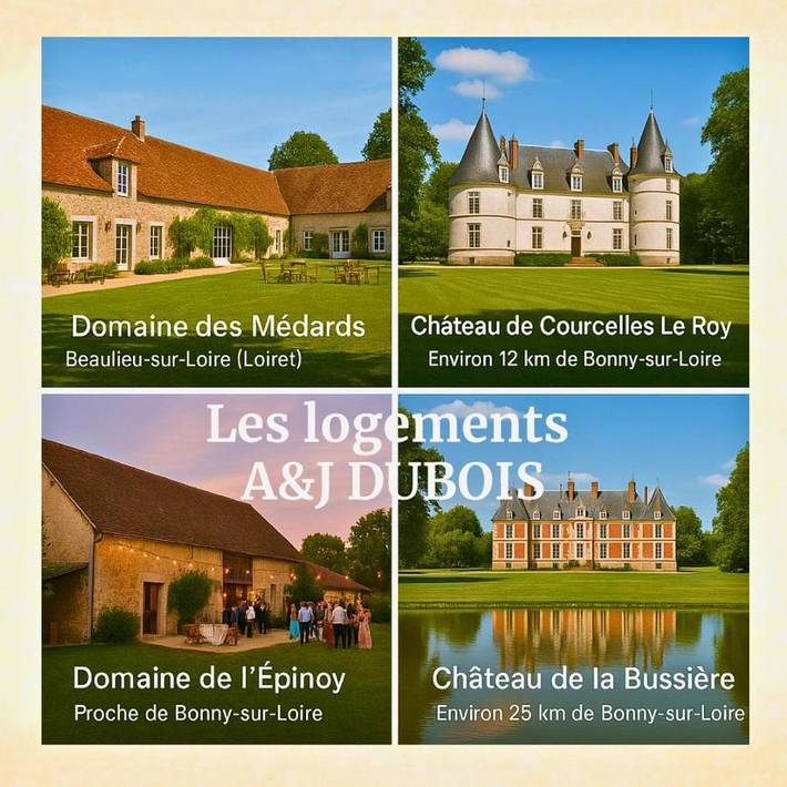 Location de vacances pour 8 personnes, avec jardin à Neuvy-sur-Loire - 4