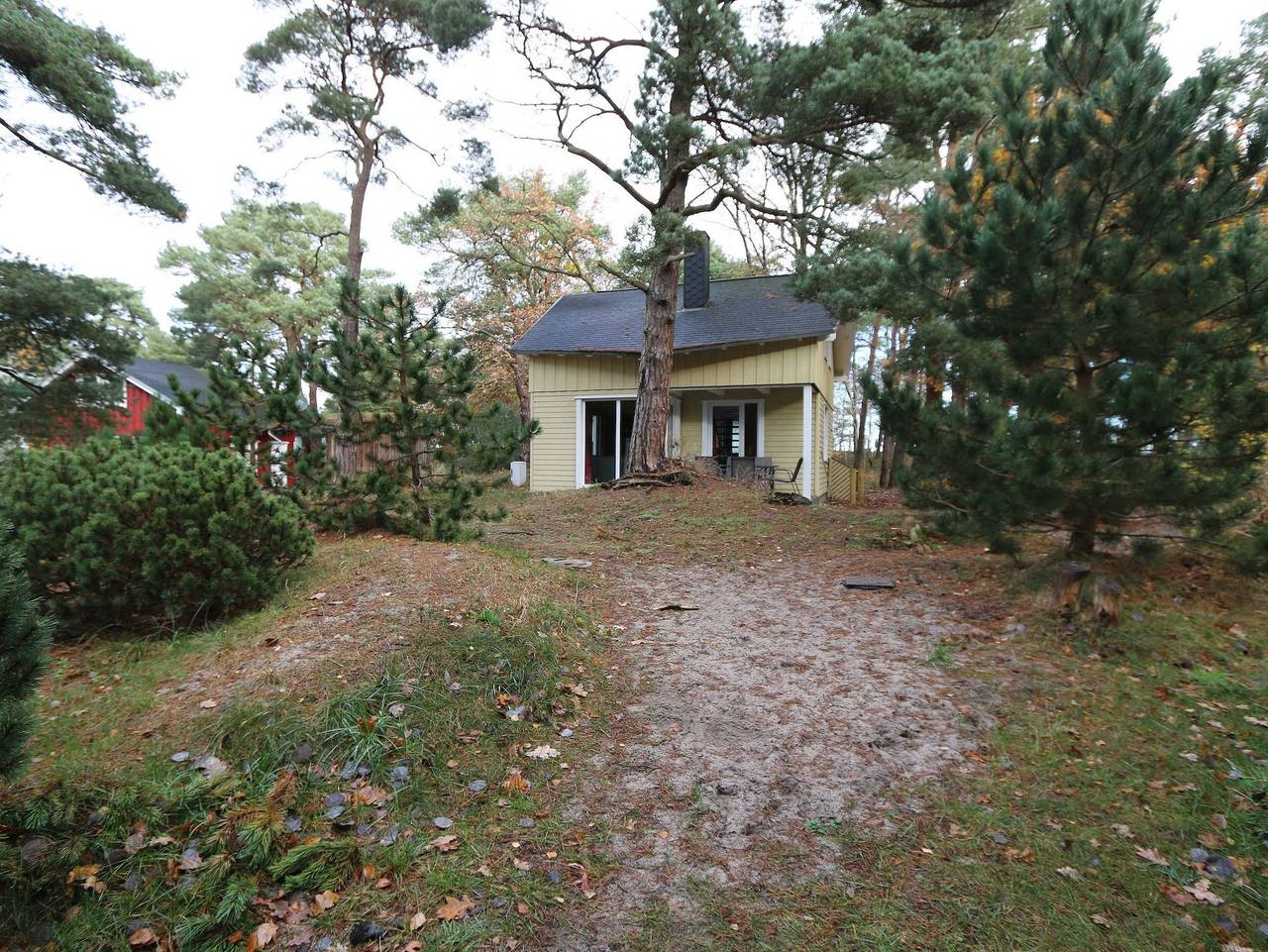 W: Strandhaus Dünenweg 39a mit Terrasse/Sauna/Kamin in Baabe, Rügen