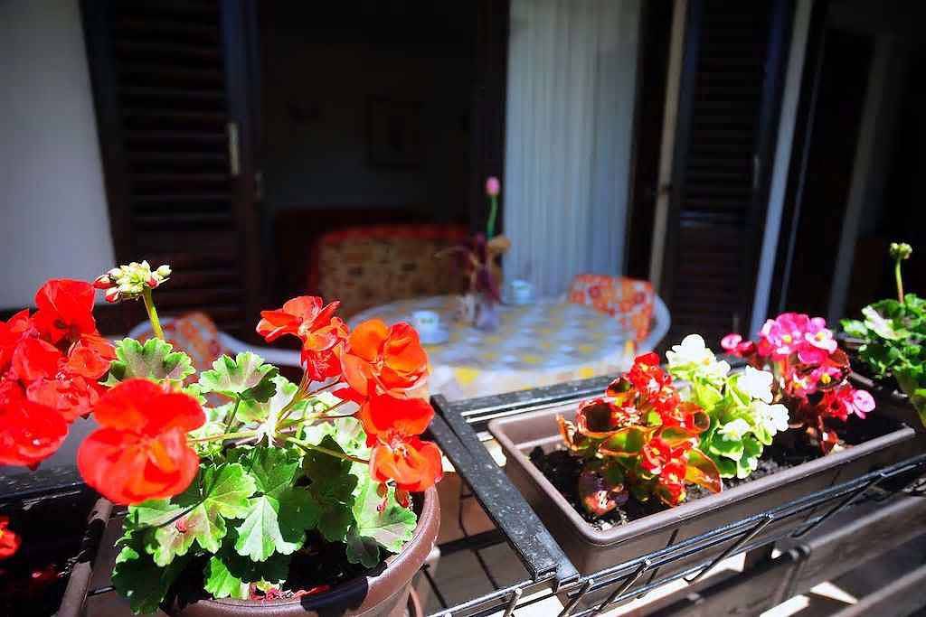 Cały apartament wypoczynkowy, Mieszkanie wakacyjne z tarasem i klimatyzacją  in Pula-Medulin, Pula