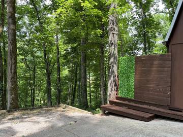 Lake House for 4 Guests in Nashville, Tennessee, Picture 2