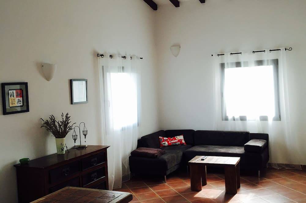 Villa in the heart of an olive grove with swimming pool and jacuzzi in Callas, Draguignan region