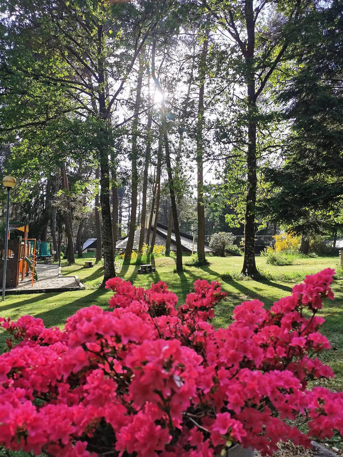 Ganze Wohnung, Glamping Duo - Cyclotourisme 2 Personen in Palisse, Ussel und Umgebung