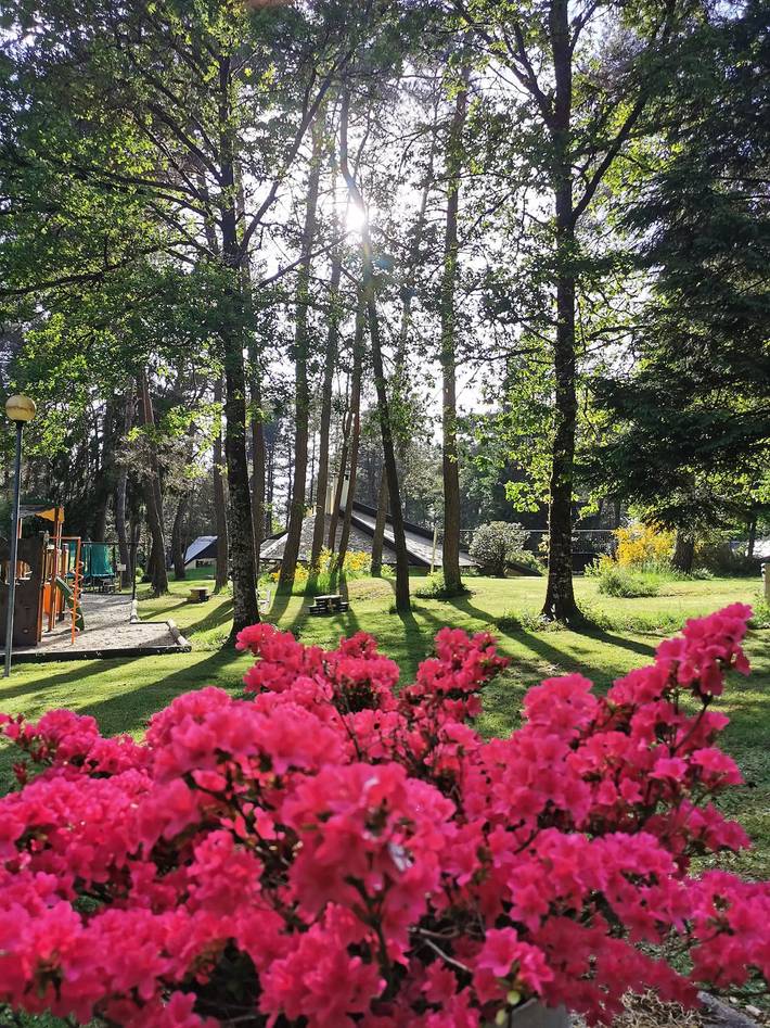Camping pour 5 personnes, avec terrasse et piscine, animaux acceptés dans le Limousin - 3
