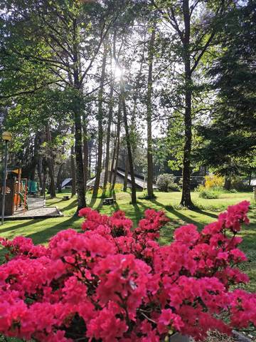 Camping für 5 Personen in Palisse, Ussel und Umgebung, Bild 1