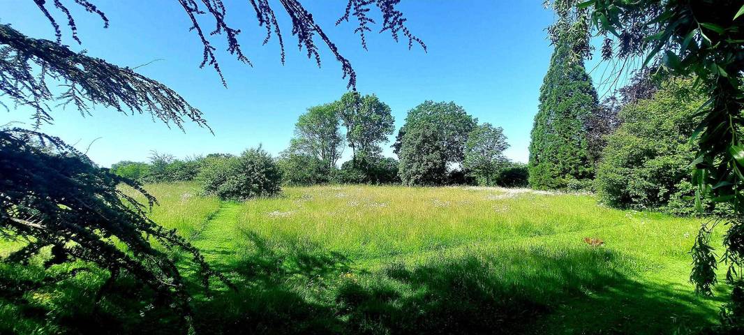 Gîte pour 2 personnes, avec jardin, animaux acceptés dans Saône-et-Loire - 4