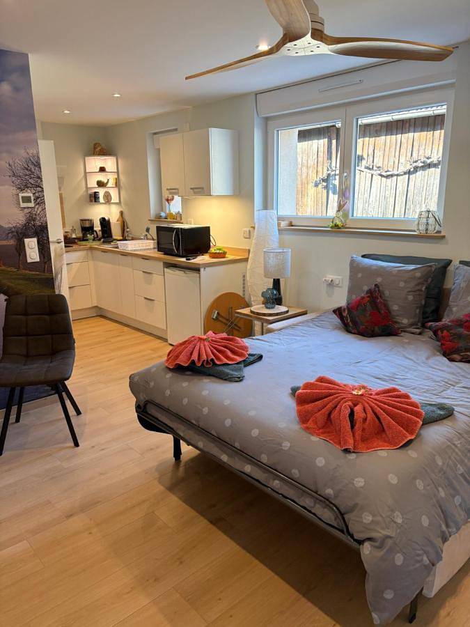 Gîte pour 2 personnes, avec jardin, animaux acceptés dans Diebolsheim