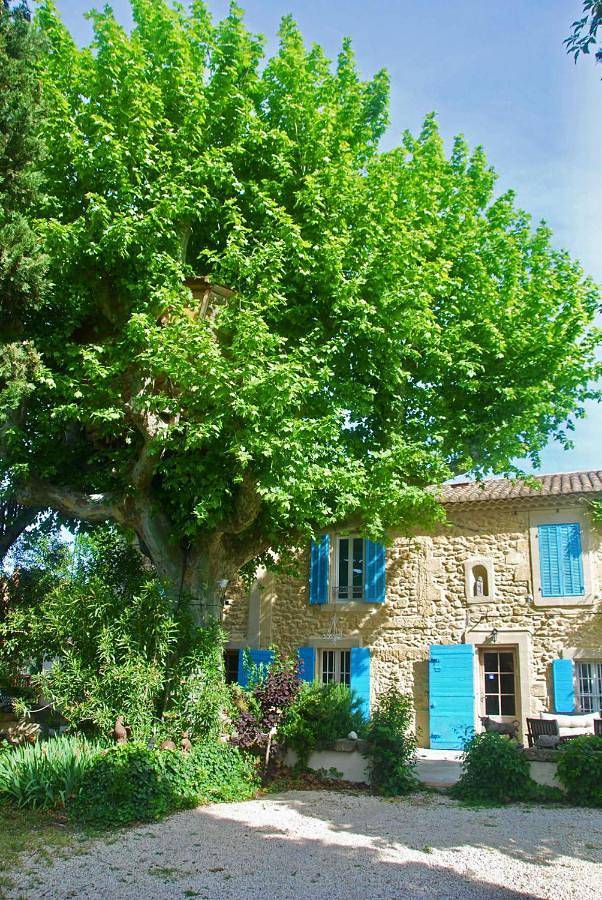 Les Volets Bleus Provence in Salon-de-Provence, Côte méditerranéenne (France)