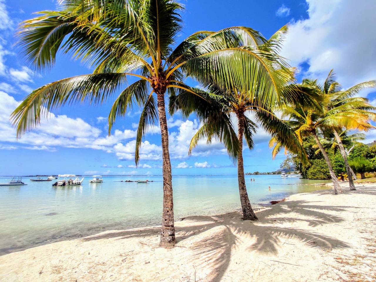 Apartamento entero, Moorea - Fare Taina Dream in Haapiti, Mo'orea