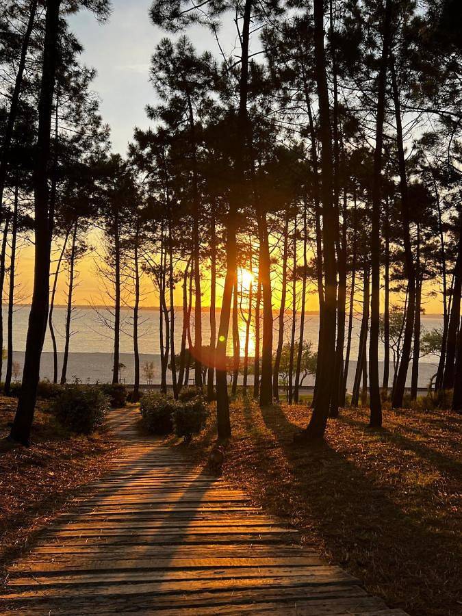 Villa pour 8 personnes, avec vue ainsi que piscine et jardin dans Pereire - 4
