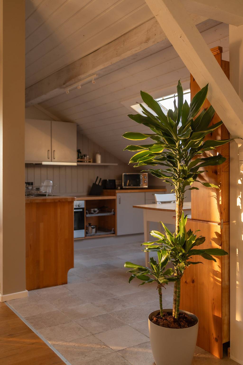 Ganze Wohnung, Ferienwohnung 'Happy Hugle' mit Bergblick und Wi-Fi in Fessenbach, Offenburg