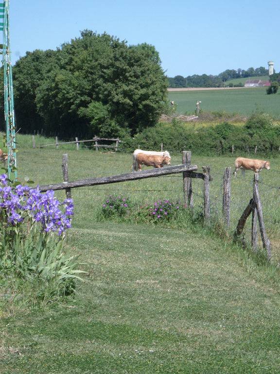 Chambre d’hôte pour 2 personnes dans la Sarthe - 3