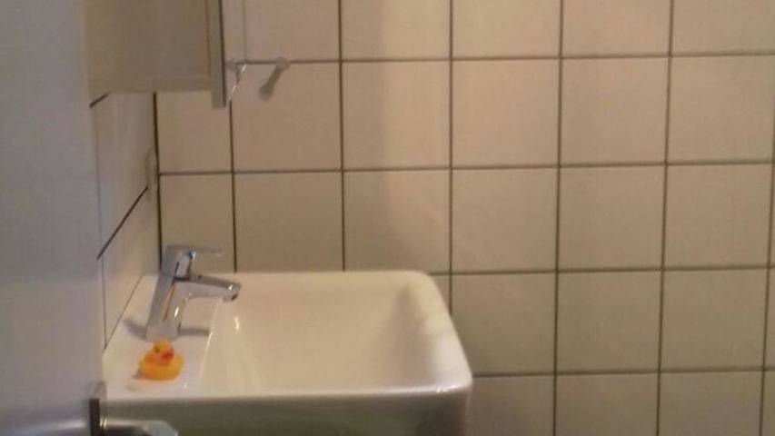 Ferienwohnung für 2 Personen, mit Terrasse, mit Haustier in Westerstede - 4