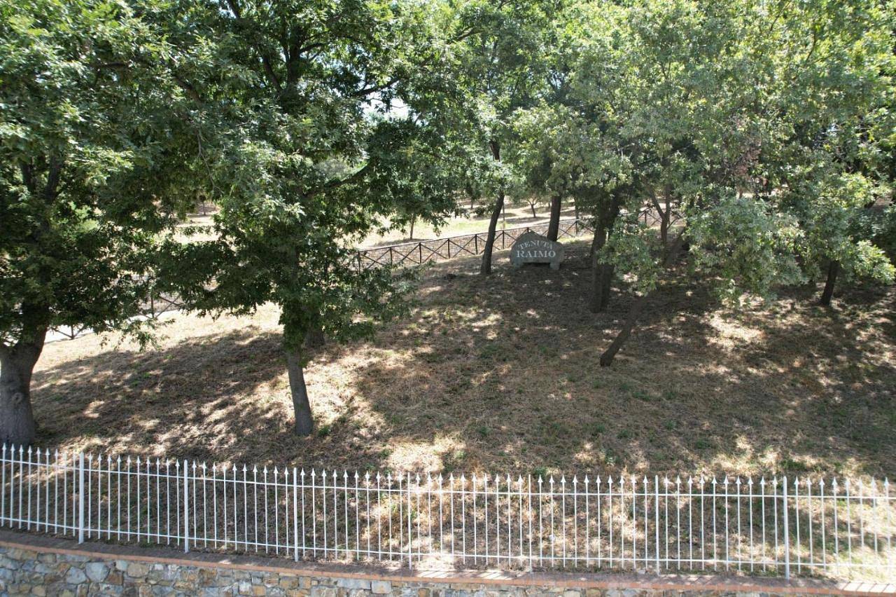 Double Room with Private Bathroom in Altavilla Silentina, Cilento