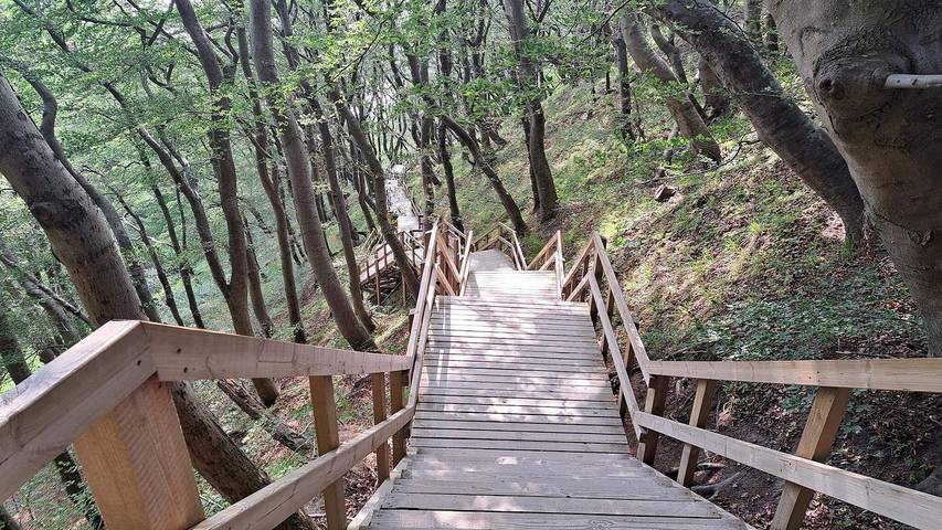 Ferienhaus für 5 Personen, mit Terrasse in Råbylille Strand - 3