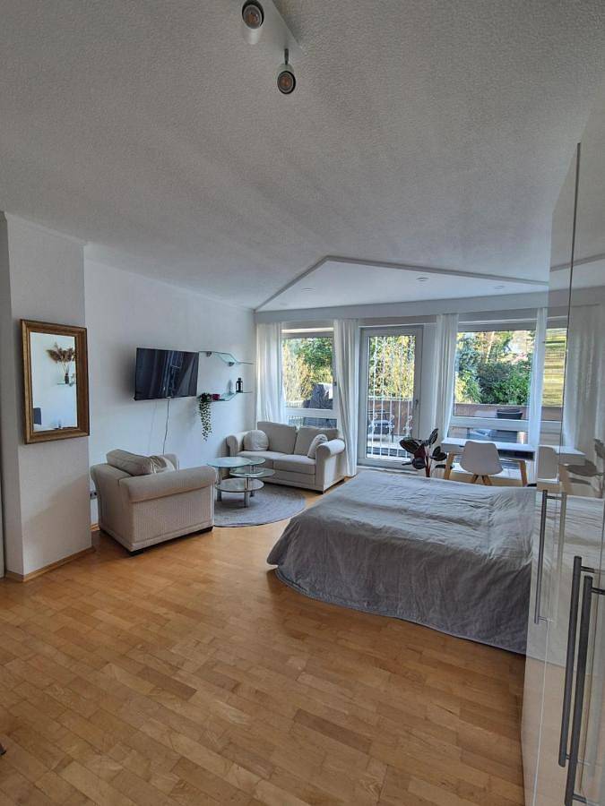 Ganze Wohnung, Sonnige Loft mit Dachterasse in Wiesbaden, Südhessen