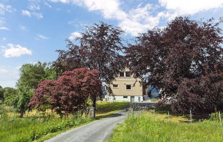 Ferienhaus für 8 Personen, mit Garten und Terrasse in Vindafjord - 3