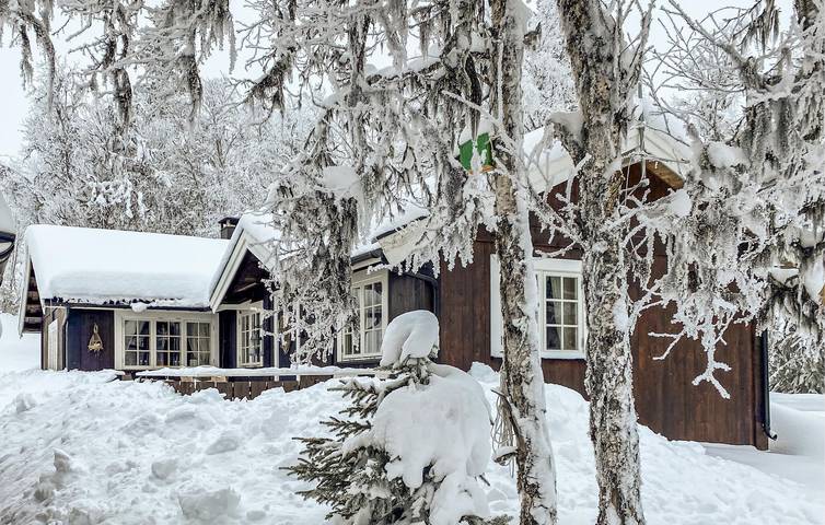Ferienhaus für 7 Personen mit Garten in Gol