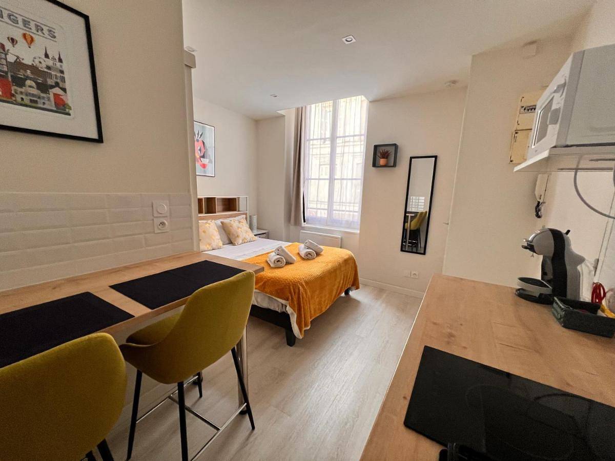 Appartement entier, Apartment in Angers, Région d'Angers