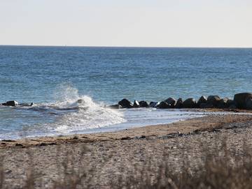Ferienwohnung für 5 Personen in Steinbergkirche, Schleswig-Flensburg, Bild 4
