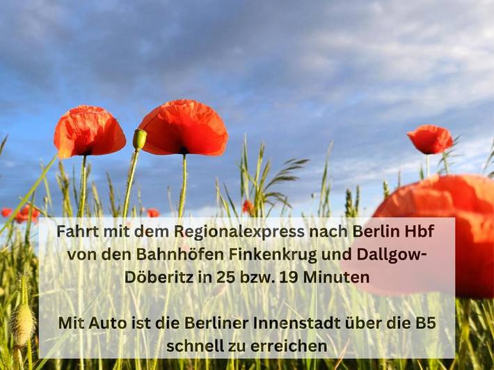 Ferienwohnung für 6 Personen, mit Garten und Ausblick in Falkensee - 3