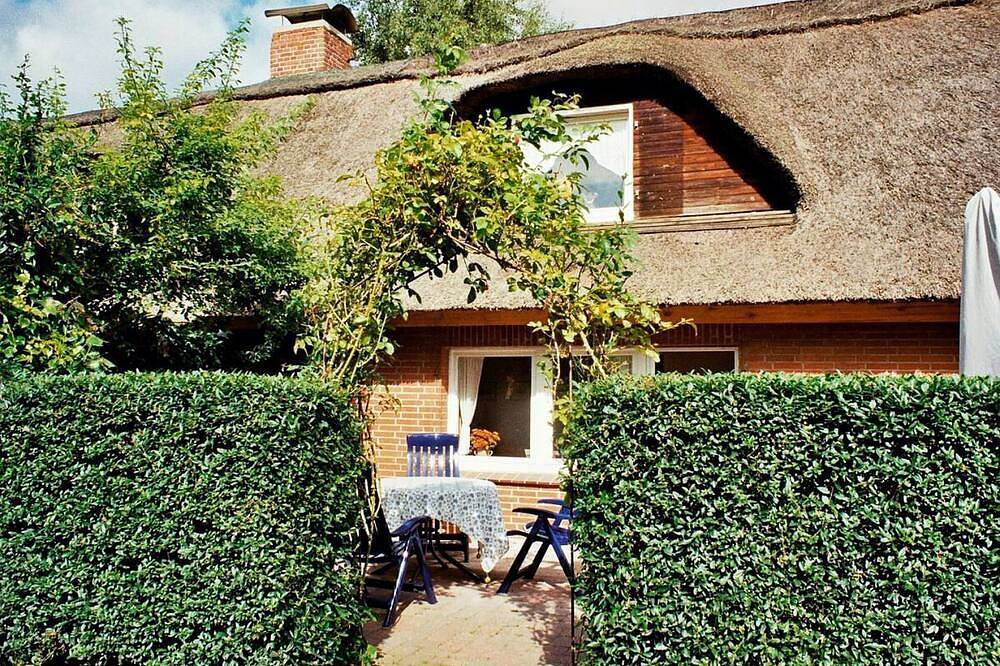Ferienhaus \"Vier Pfoten Gollendorf\" für 5 Gäste und Hund mit Garten - Strandnah in Westfehmarn, Fehmarn