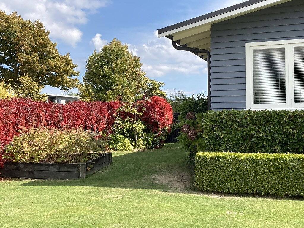 Cottage for 5 People in Taupo, Taupo District