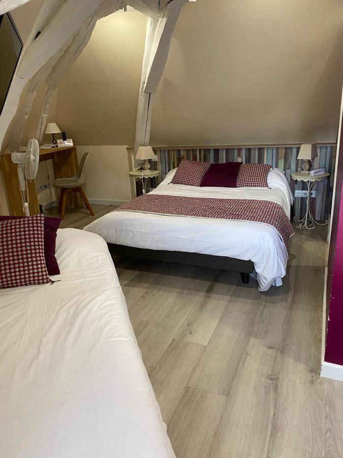 Hôtel pour 3 personnes, avec terrasse, animaux acceptés à Chenonceaux - 3