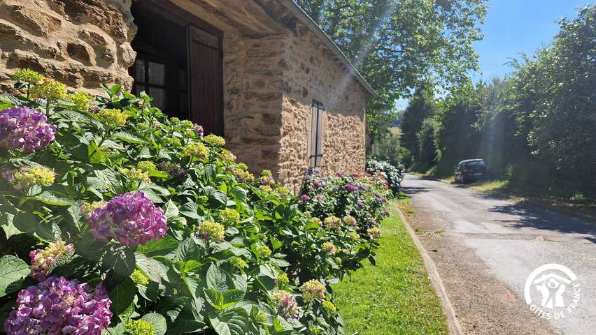 Gîte pour 4 personnes, avec Terrasse ainsi que Jardin et Piscine dans le Tarn - 3