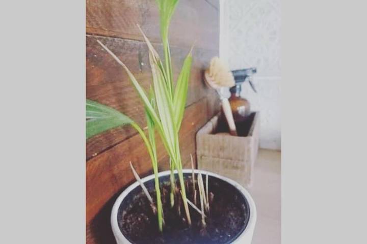 Location de vacances pour 4 personnes, avec jacuzzi et jardin à Puisseguin - 2