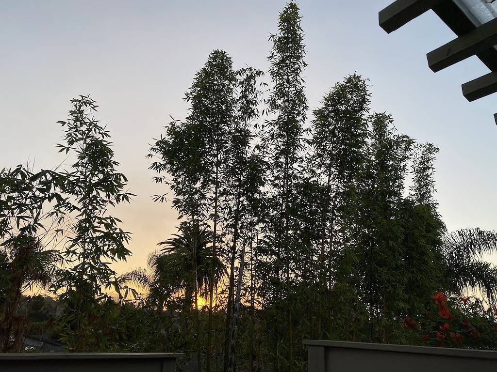 Gehen Sie zum Strand !! Das Studio befindet sich in idealer Lage, um Carlsbad & Best of Socal zu genießen in Carlsbad, San Diego County