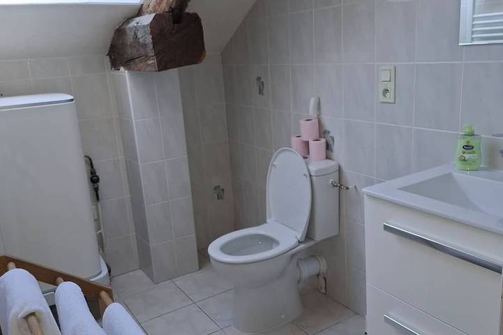 Gîte pour 4 personnes, animaux acceptés à Le Theil-de-Bretagne - 4