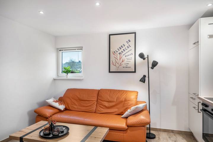 Hel enrumslägenhet, Studio Apartment 'Tor Zum Hochwald' with Wi-Fi in Thomm, Landkreis Trier-Saarburg