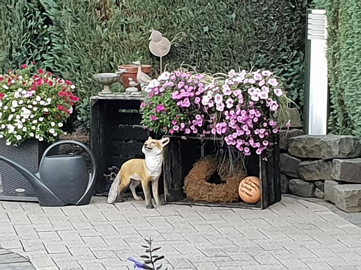 Ganze Wohnung, Dachgeschoss35 in Witten, Ennepe-Ruhr-Kreis