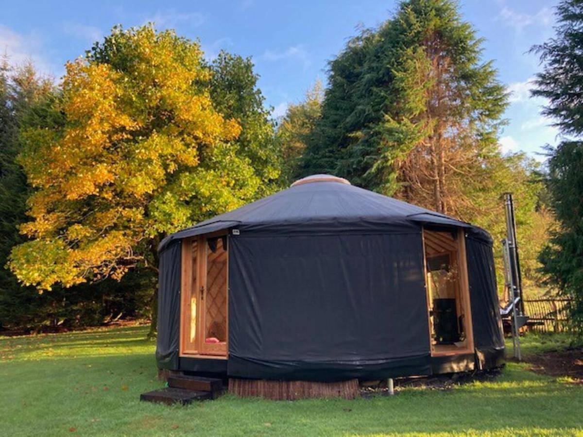 Tent in County Wicklow