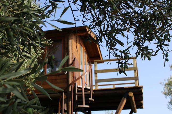 B&b per 2 persone, con Balcone e Terrazza nonché Giardino e Piscina a Falerna