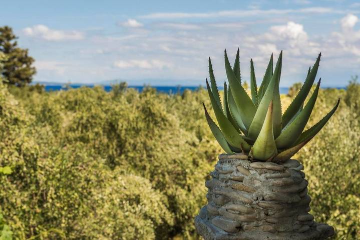 Maison d’hôte pour 2 personnes, avec jardin et vue à Zante - 2