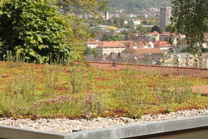 Ferienwohnung für 2 Personen in Dreiländereck - 4